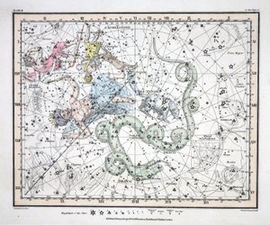 Les Constellations (Planche II) Ursa Minor, Cassiopée, Tarandus, Céphée, Draco, Custos Messium, de 
